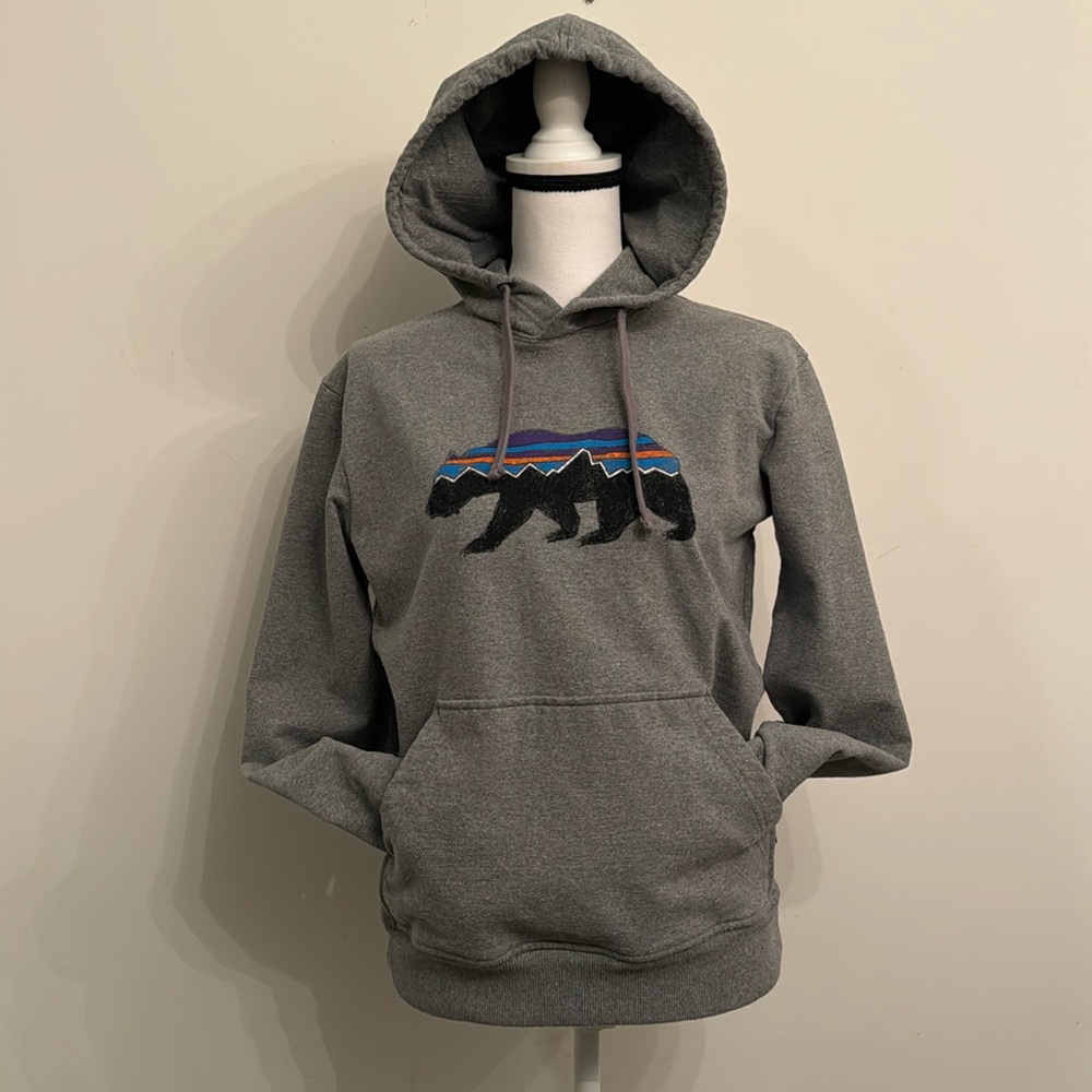 Unisex Patagonia Bear Pullover Hoodie